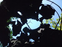 /album/fotogalerie/vrakodavni-strom-zevnitr-nahoru-jpg/